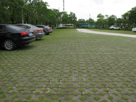 植草磚 植草磚